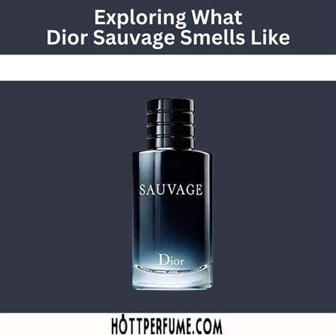 smells like dior sauvage|which sauvage smells the best.